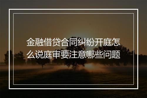 金融借贷合同纠纷开庭怎么说庭审要注意哪些问题