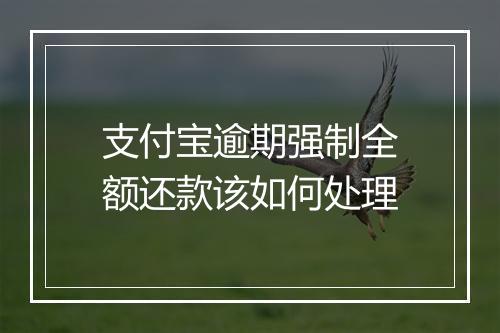 支付宝逾期强制全额还款该如何处理