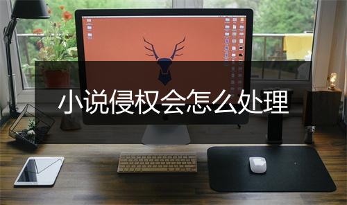 小说侵权会怎么处理