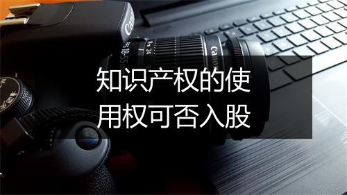 知识产权的使用权可否入股