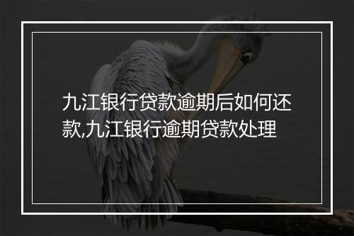 九江银行贷款逾期后如何还款,九江银行逾期贷款处理