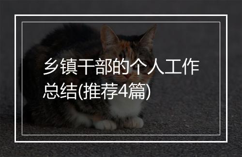 乡镇干部的个人工作总结(推荐4篇)