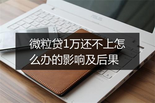 微粒贷1万还不上怎么办的影响及后果