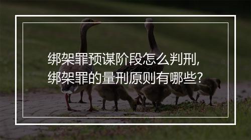 绑架罪预谋阶段怎么判刑,绑架罪的量刑原则有哪些?