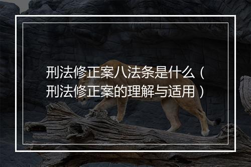 刑法修正案八法条是什么（刑法修正案的理解与适用）