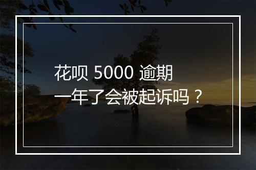 花呗 5000 逾期一年了会被起诉吗？