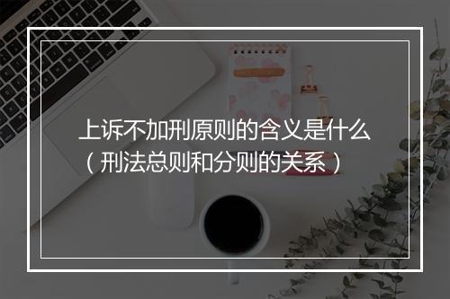 上诉不加刑原则的含义是什么（刑法总则和分则的关系）