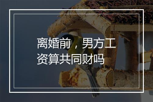 离婚前，男方工资算共同财吗