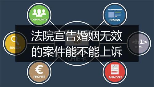 法院宣告婚姻无效的案件能不能上诉