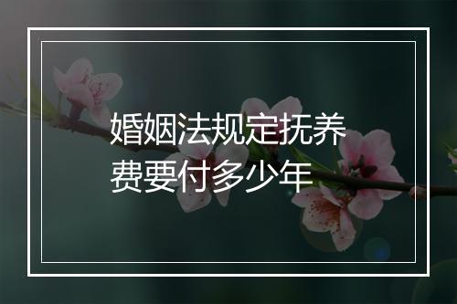 婚姻法规定抚养费要付多少年