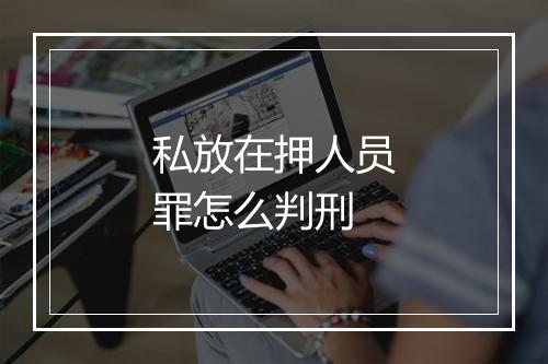 私放在押人员罪怎么判刑