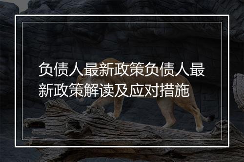 负债人最新政策负债人最新政策解读及应对措施