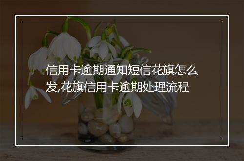 信用卡逾期通知短信花旗怎么发,花旗信用卡逾期处理流程