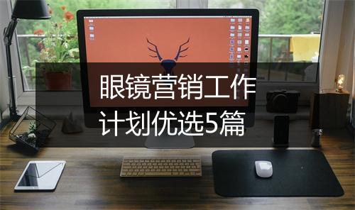 眼镜营销工作计划优选5篇