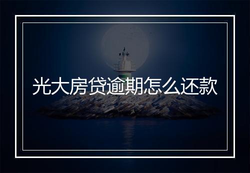 光大房贷逾期怎么还款