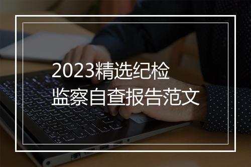 2023精选纪检监察自查报告范文