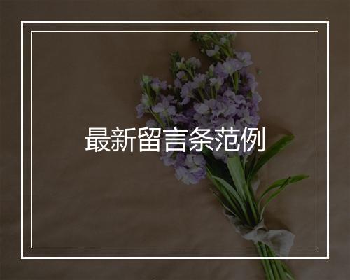 最新留言条范例
