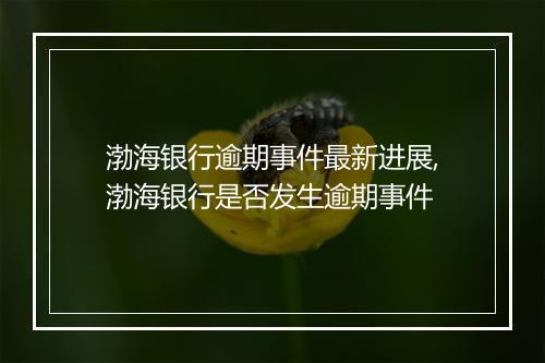 渤海银行逾期事件最新进展,渤海银行是否发生逾期事件
