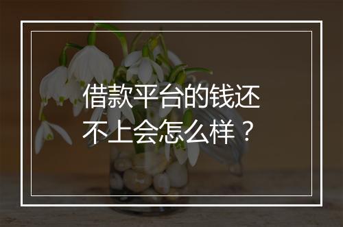 借款平台的钱还不上会怎么样？