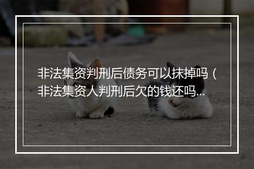 非法集资判刑后债务可以抹掉吗（非法集资人判刑后欠的钱还吗）
