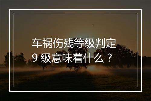 车祸伤残等级判定 9 级意味着什么？