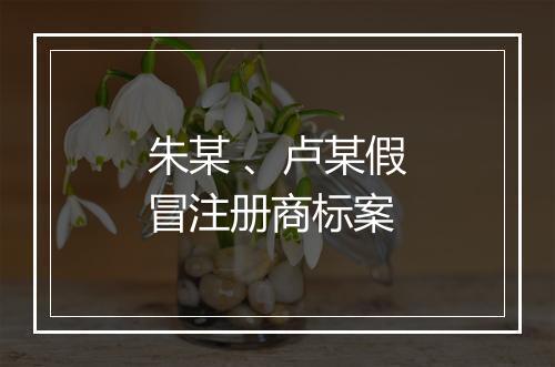 朱某 、卢某假冒注册商标案