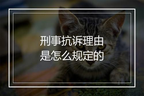 刑事抗诉理由是怎么规定的