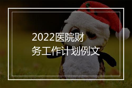 2022医院财务工作计划例文