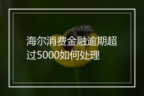 海尔消费金融逾期超过5000如何处理