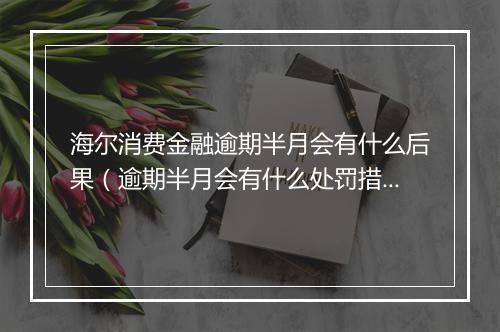 海尔消费金融逾期半月会有什么后果（逾期半月会有什么处罚措施）