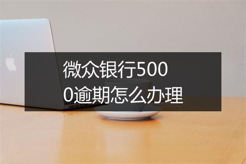 微众银行5000逾期怎么办理
