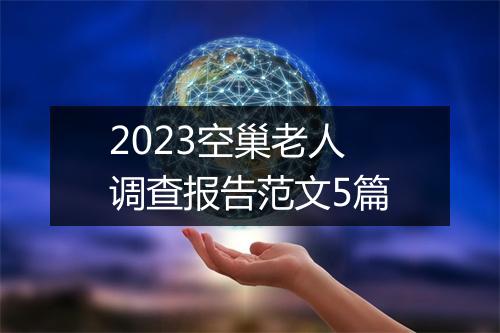 2023空巢老人调查报告范文5篇