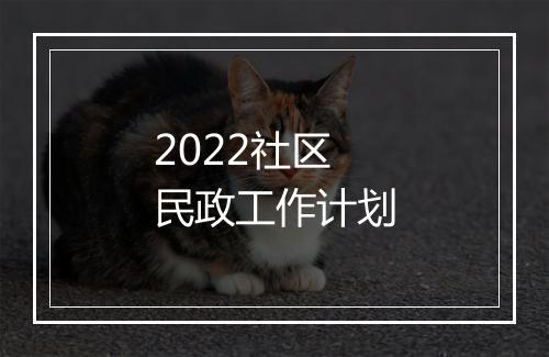 2022社区民政工作计划