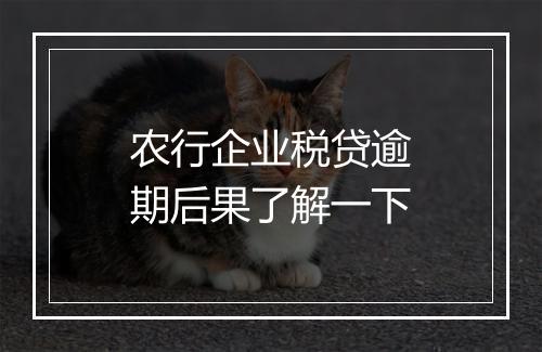 农行企业税贷逾期后果了解一下