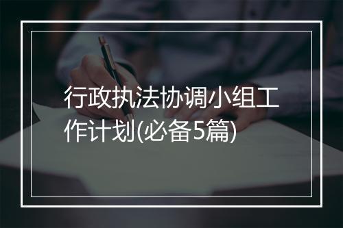 行政执法协调小组工作计划(必备5篇)