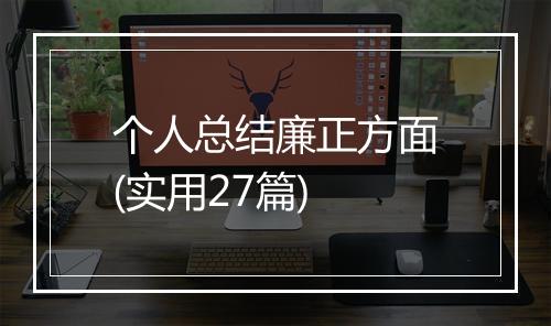 个人总结廉正方面(实用27篇)