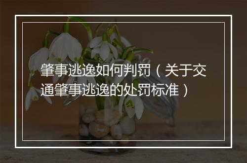 肇事逃逸如何判罚（关于交通肇事逃逸的处罚标准）