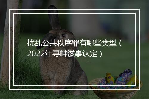 扰乱公共秩序罪有哪些类型（2022年寻衅滋事认定）