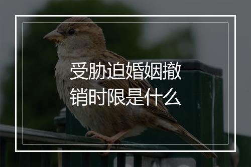 受胁迫婚姻撤销时限是什么