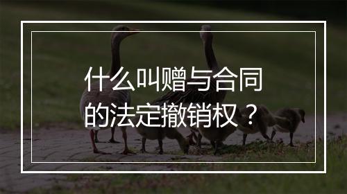 什么叫赠与合同的法定撤销权？