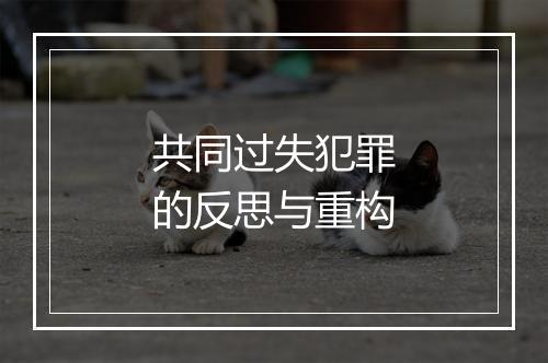 共同过失犯罪的反思与重构