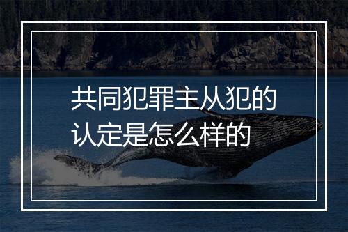 共同犯罪主从犯的认定是怎么样的