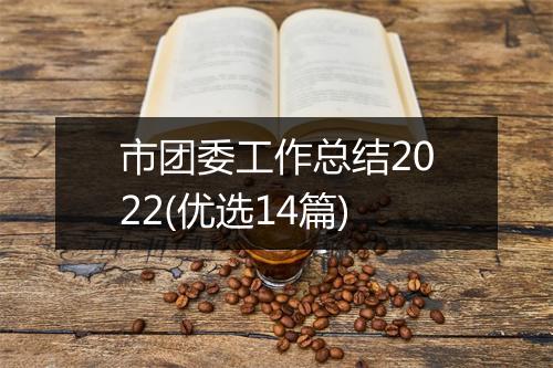 市团委工作总结2022(优选14篇)