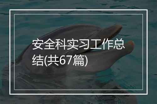 安全科实习工作总结(共67篇)