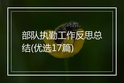 部队执勤工作反思总结(优选17篇)