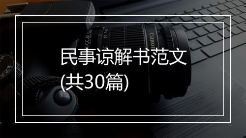 民事谅解书范文(共30篇)