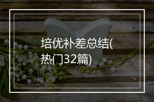 培优补差总结(热门32篇)