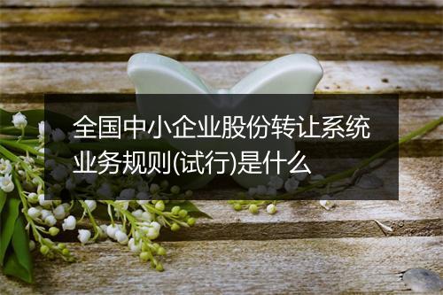 全国中小企业股份转让系统业务规则(试行)是什么