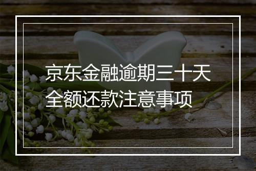 京东金融逾期三十天全额还款注意事项