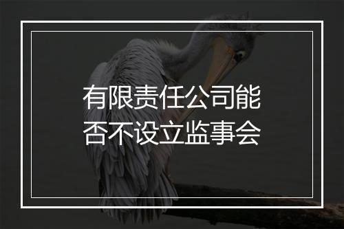 有限责任公司能否不设立监事会